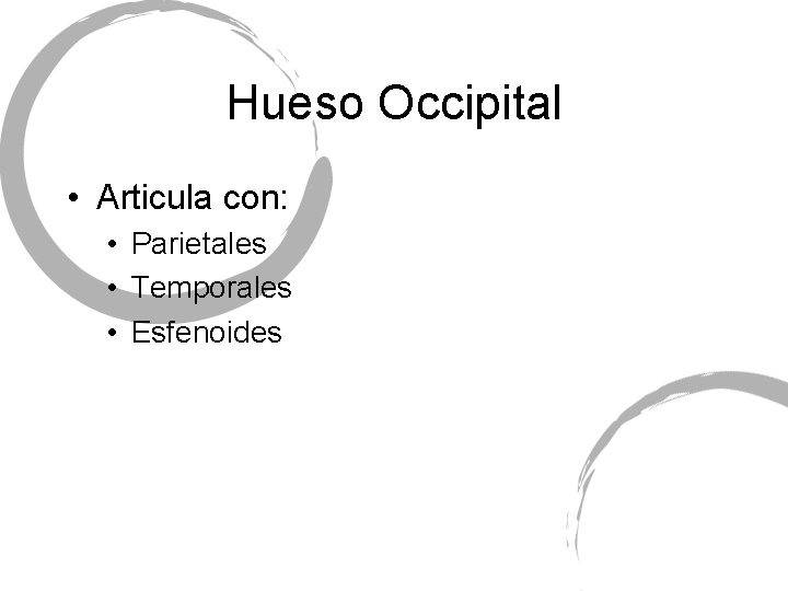 Hueso Occipital • Articula con: • Parietales • Temporales • Esfenoides 