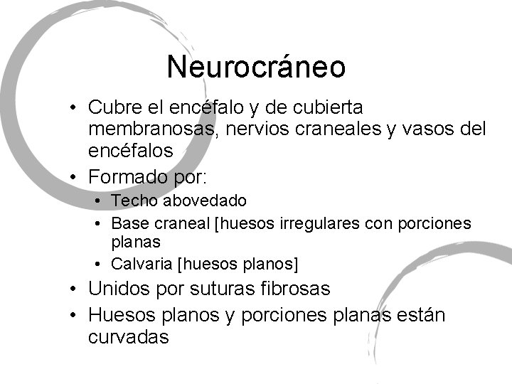 Neurocráneo • Cubre el encéfalo y de cubierta membranosas, nervios craneales y vasos del