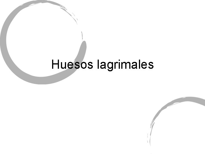 Huesos lagrimales 