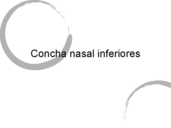 Concha nasal inferiores 