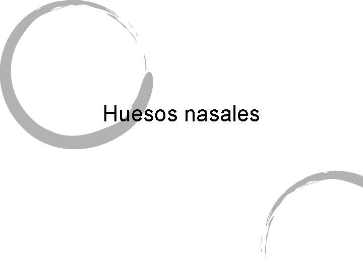 Huesos nasales 
