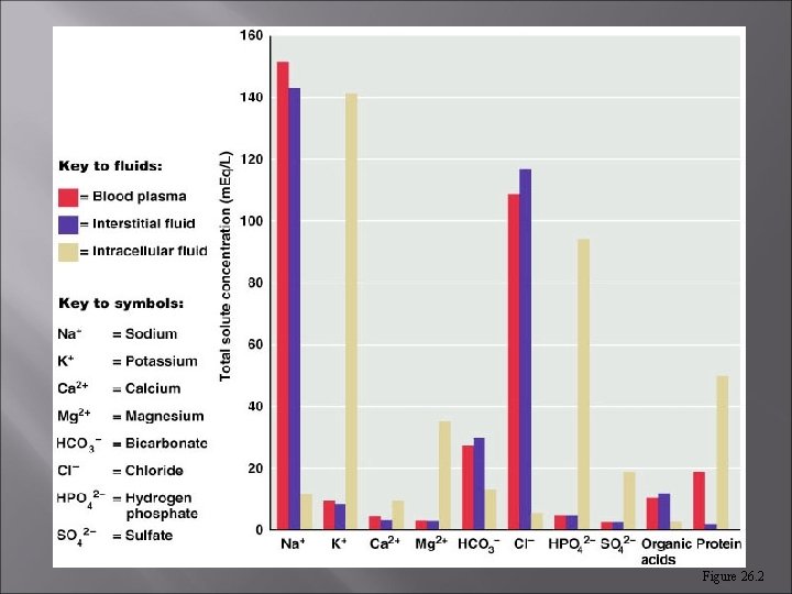 Figure 26. 2  Figure 26. 2