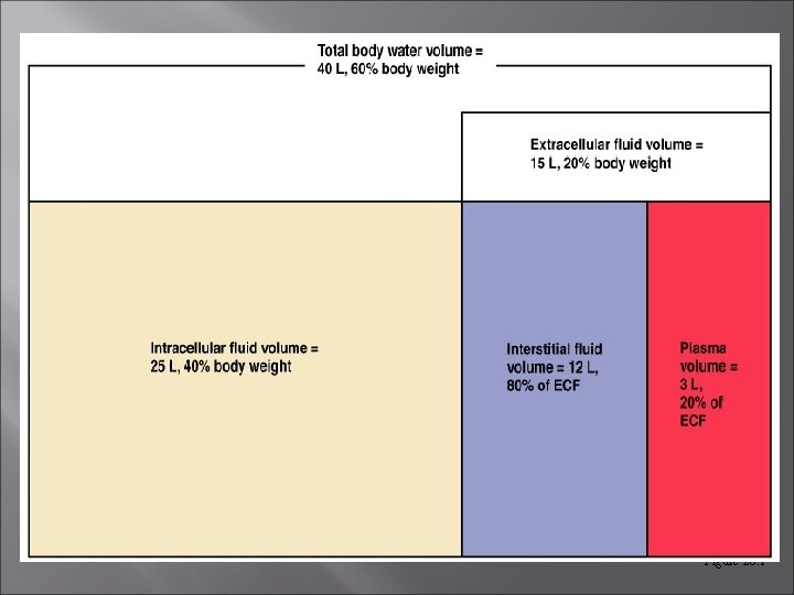 Figure 26. 1  Figure 26. 1