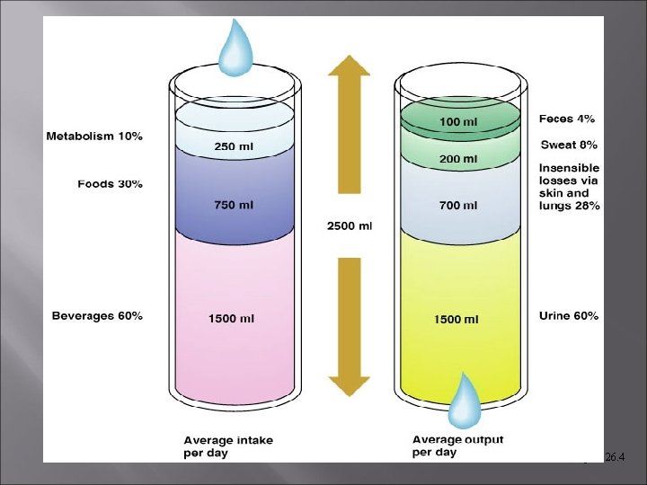 Figure 26. 4  Figure 26. 4