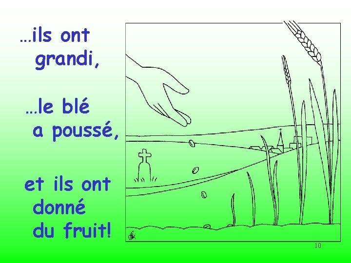 …ils ont grandi, …le blé a poussé, et ils ont donné du fruit! 10