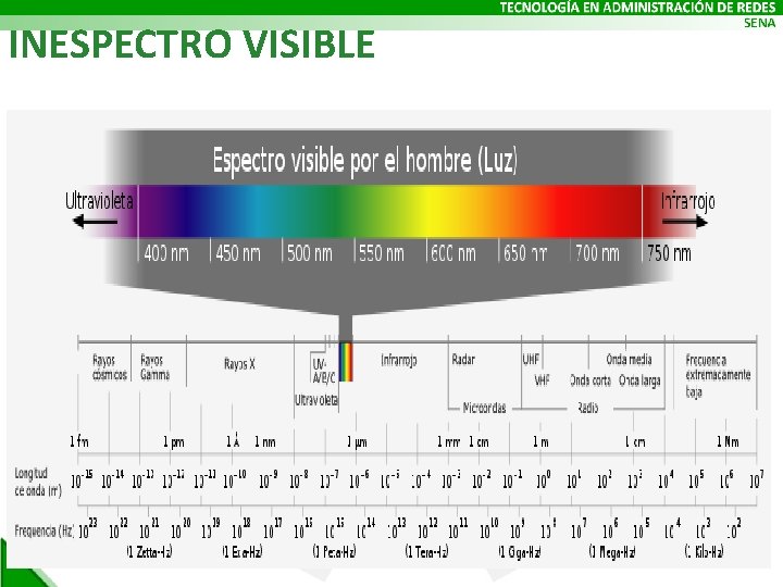 INESPECTRO VISIBLE 