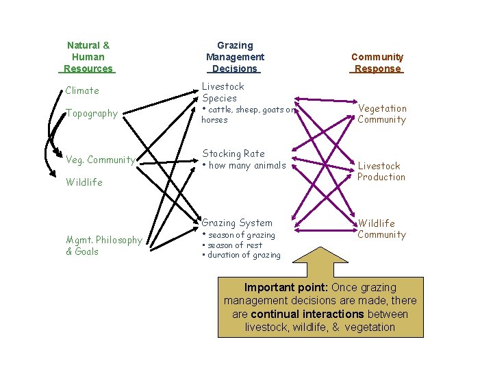 Natural & Human Resources Climate Topography Veg. Community Grazing Management Decisions Livestock Species •