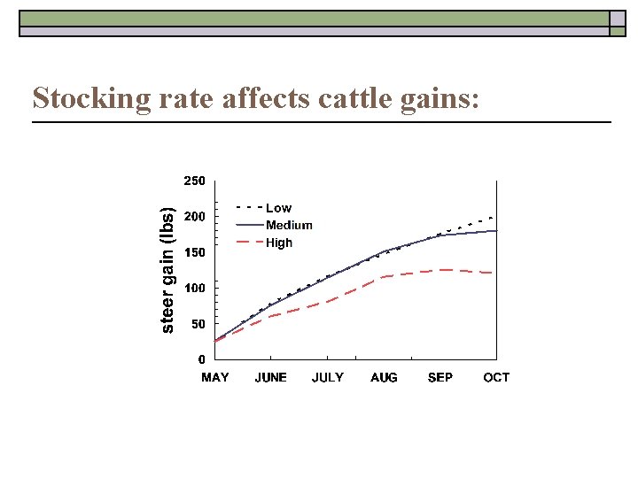 Stocking rate affects cattle gains: 