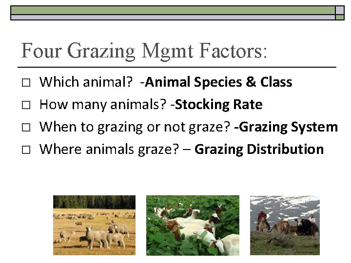 Four Grazing Mgmt Factors: o o Which animal? -Animal Species & Class How many