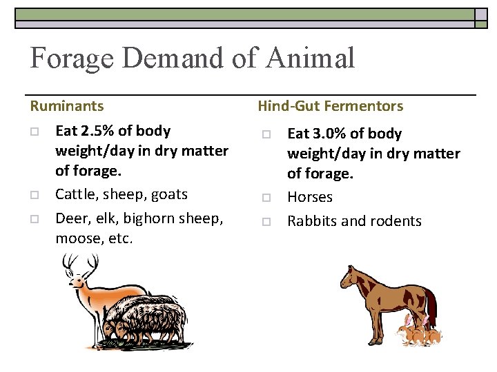 Forage Demand of Animal Ruminants o o o Eat 2. 5% of body weight/day