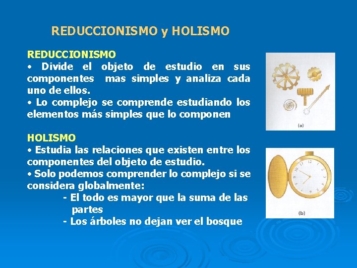 REDUCCIONISMO y HOLISMO REDUCCIONISMO • Divide el objeto de estudio en sus componentes mas