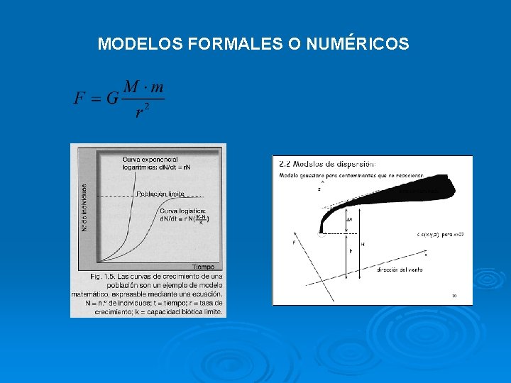 MODELOS FORMALES O NUMÉRICOS 