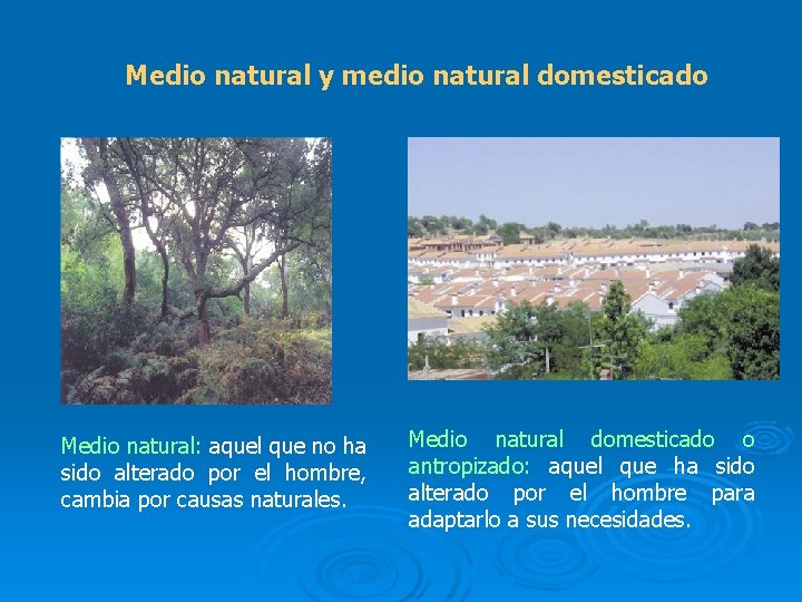 Medio natural y medio natural domesticado Medio natural: aquel que no ha sido alterado