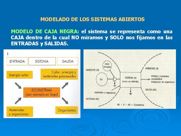 MODELADO DE LOS SISTEMAS ABIERTOS MODELO DE CAJA NEGRA: el sistema se representa como
