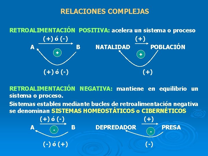 RELACIONES COMPLEJAS RETROALIMENTACIÓN POSITIVA: acelera un sistema o proceso (+) ó (-) (+) A