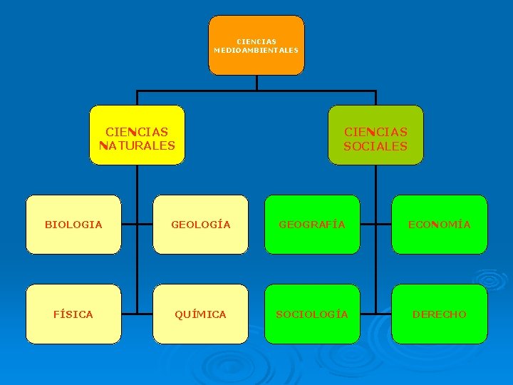 CIENCIAS MEDIOAMBIENTALES CIENCIAS NATURALES CIENCIAS SOCIALES BIOLOGIA GEOLOGÍA GEOGRAFÍA ECONOMÍA FÍSICA QUÍMICA SOCIOLOGÍA DERECHO