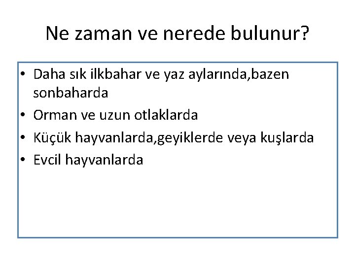 Ne zaman ve nerede bulunur? • Daha sık ilkbahar ve yaz aylarında, bazen sonbaharda