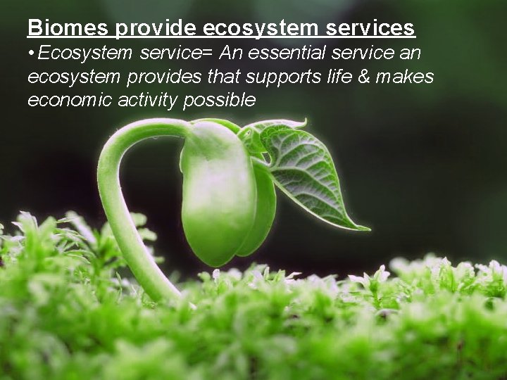 Biomes provide ecosystem services • Ecosystem service= An essential service an ecosystem provides that