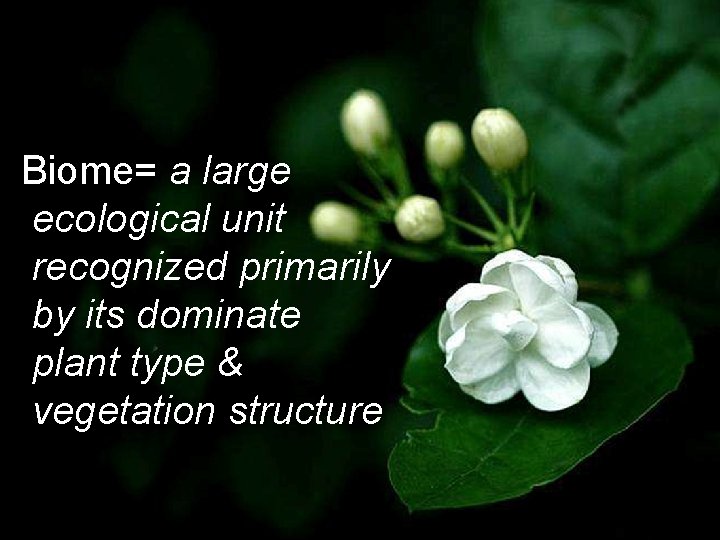 Biome= a large ecological unit recognized primarily by its dominate plant type & vegetation