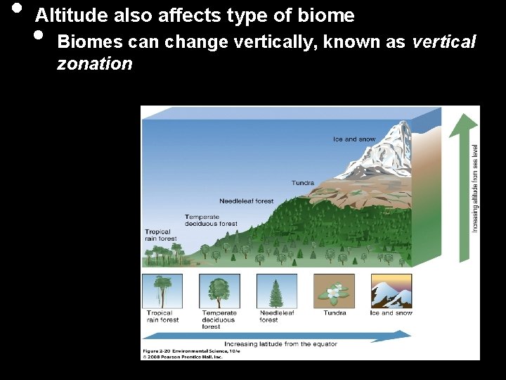  • Altitude also affects type of biome • Biomes can change vertically, known