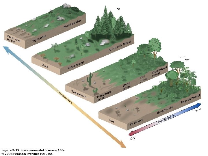 Introduction to Terrestrial Biomes Biome a large ecological