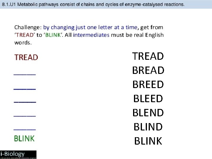 TREAD BREED BLEND BLINK 