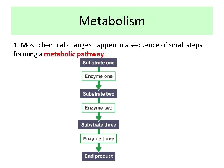 Metabolism 1. Most chemical changes happen in a sequence of small steps – forming