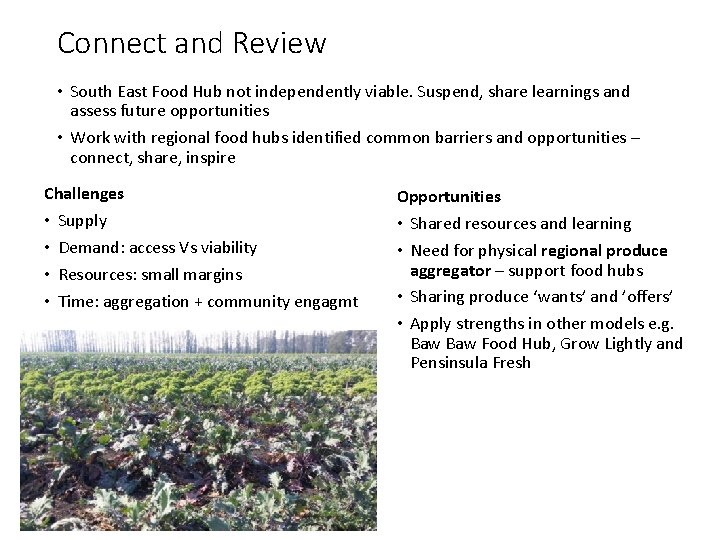 Connect and Review • South East Food Hub not independently viable. Suspend, share learnings