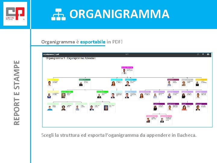 ORGANIGRAMMA REPORT E STAMPE Organigramma è esportabile in PDF! Scegli la struttura ed esporta