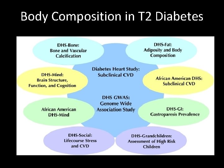 Body Composition in T 2 Diabetes 