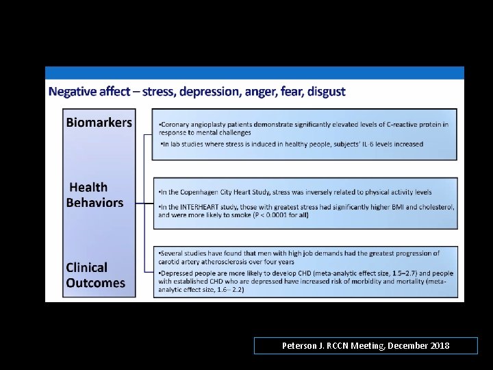 Peterson J. RCCN Meeting, December 2018 