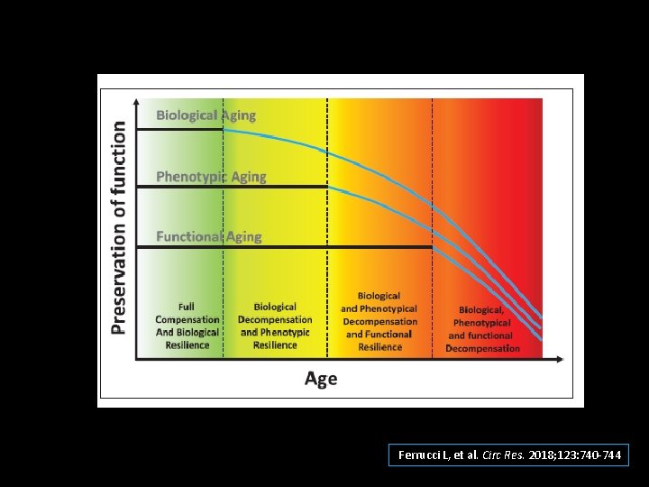 Ferrucci L, et al. Circ Res. 2018; 123: 740 -744 