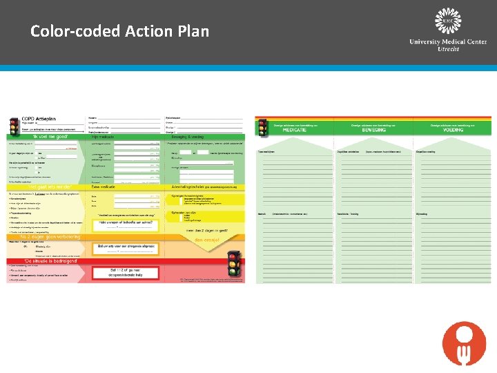 Color-coded Action Plan 