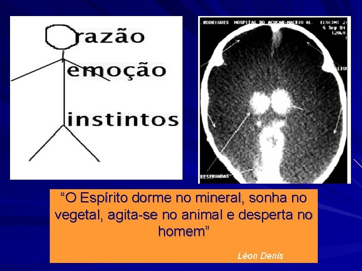 “O Espírito dorme no mineral, sonha no vegetal, agita-se no animal e desperta no