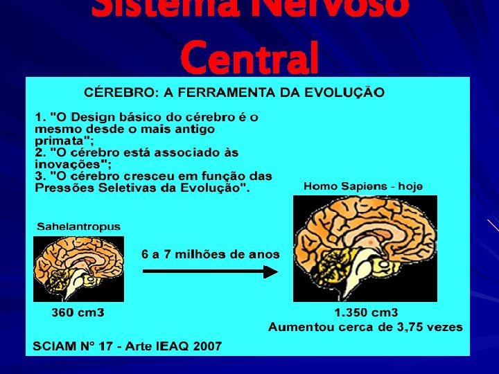 Sistema Nervoso Central 