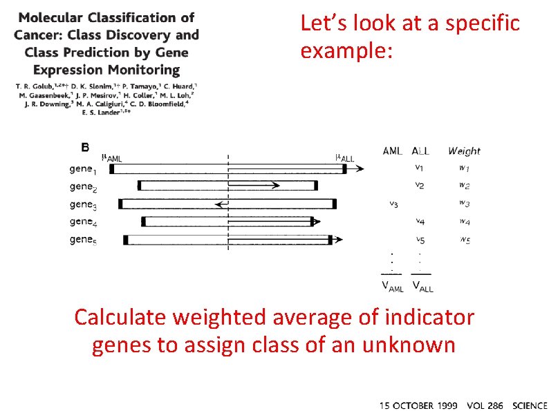 Let’s look at a specific example: Calculate weighted average of indicator genes to assign