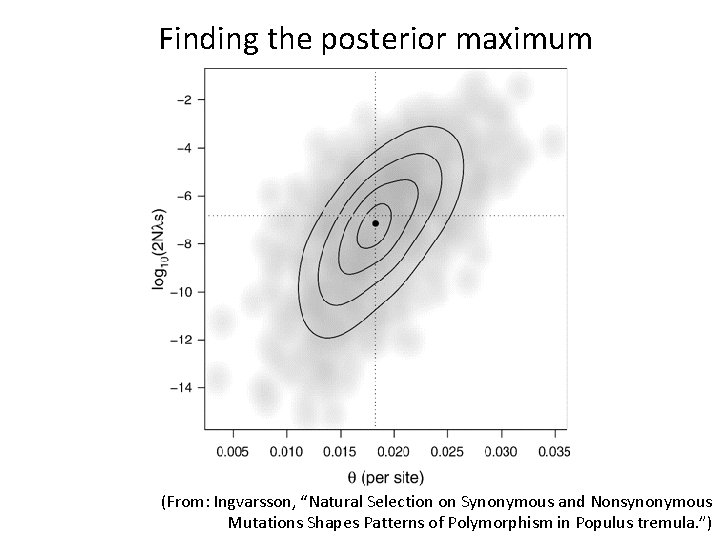 Finding the posterior maximum (From: Ingvarsson, “Natural Selection on Synonymous and Nonsynonymous Mutations Shapes