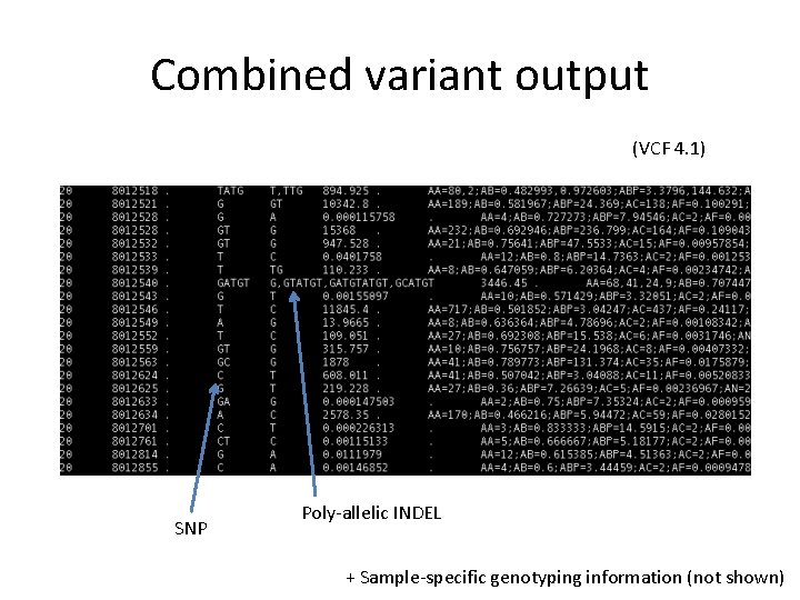 Combined variant output (VCF 4. 1) SNP Poly-allelic INDEL + Sample-specific genotyping information (not
