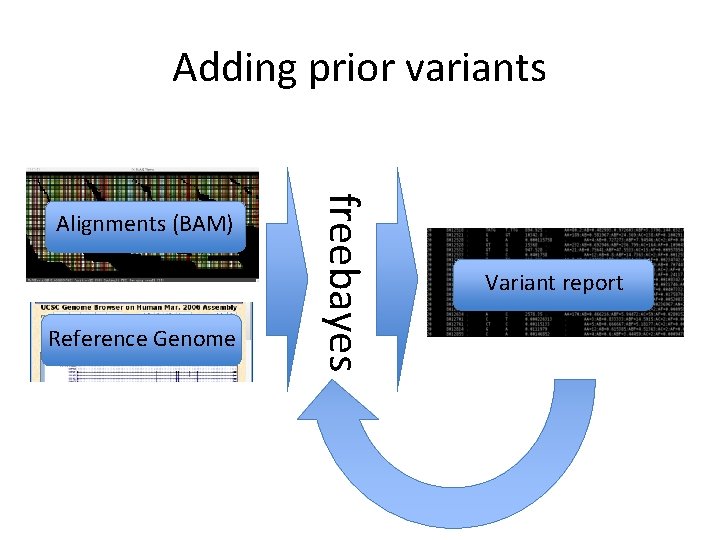 Adding prior variants Reference Genome freebayes Alignments (BAM) Variant report 