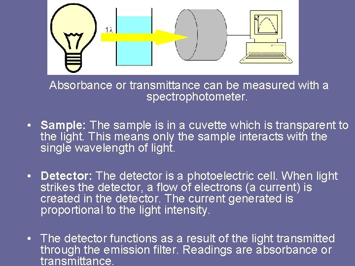 Absorbance or transmittance can be measured with a spectrophotometer. • Sample: The sample is