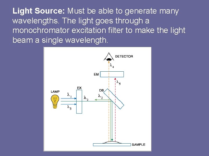 Light Source: Must be able to generate many wavelengths. The light goes through a