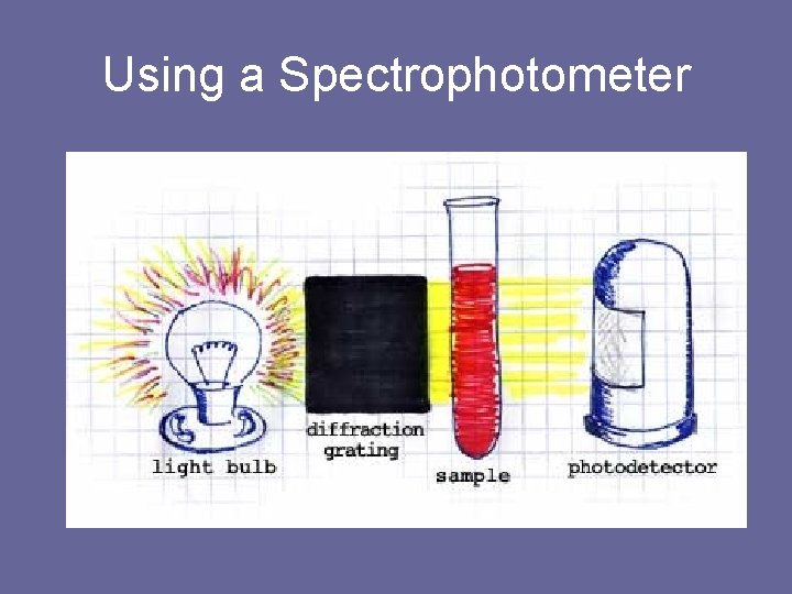 Using a Spectrophotometer 