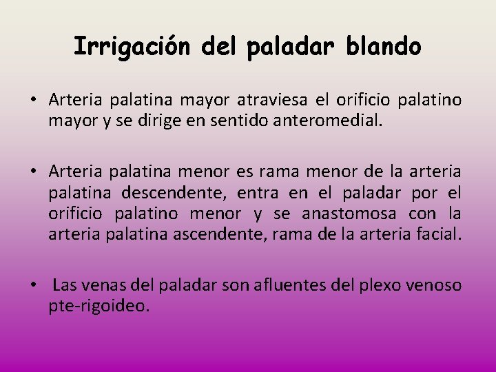 Irrigación del paladar blando • Arteria palatina mayor atraviesa el orificio palatino mayor y