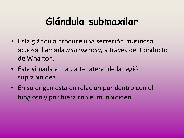 Glándula submaxilar • Esta glándula produce una secreción musinosa acuosa, llamada mucoserosa, a través