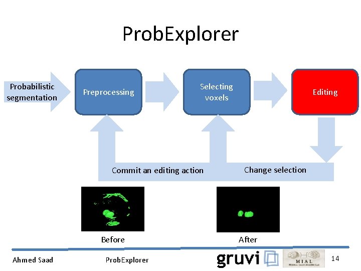 Prob. Explorer Probabilistic segmentation Preprocessing Selecting voxels Commit an editing action Before Ahmed Saad