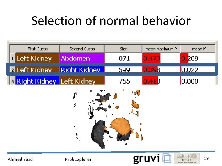 Selection of normal behavior Ahmed Saad Prob. Explorer 19 