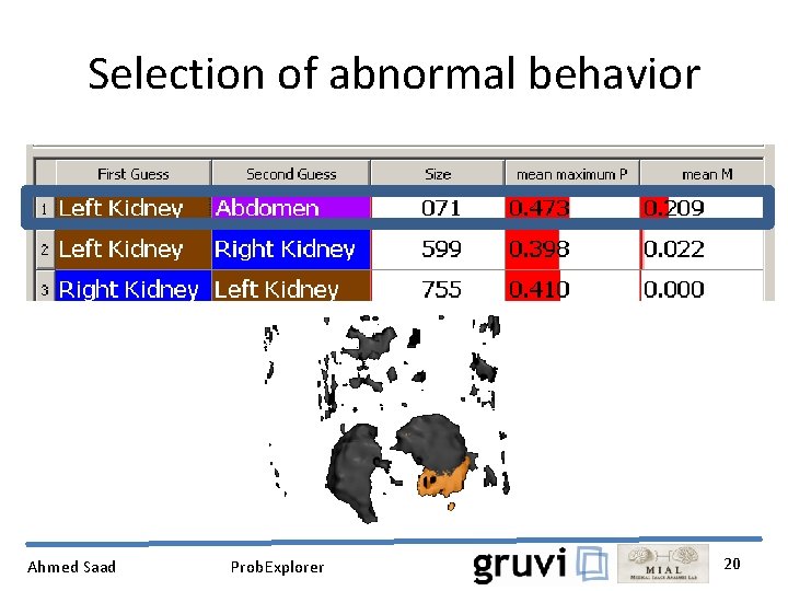 Selection of abnormal behavior Ahmed Saad Prob. Explorer 20 