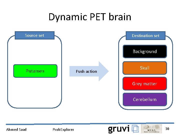 Dynamic PET brain Source set Destination set Background Putamen Push action Skull Grey matter