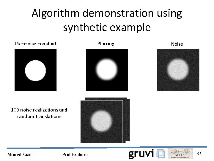 Algorithm demonstration using synthetic example Piecewise constant Blurring Noise 100 noise realizations and random