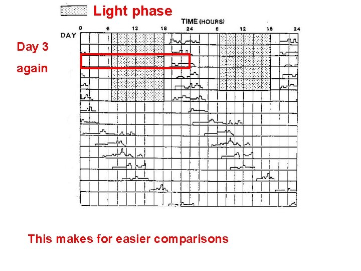 Light phase Day 3 again This makes for easier comparisons 